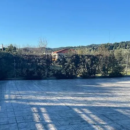 Orman Evi Olivia Skioni